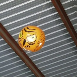 Terror Eyes, Inflatable Bird Repeller